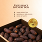 King Solomon Medjool Dates — Super Jumbo