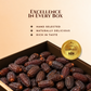 King Solomon Junior Medjoul Dates