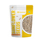 Carnival Classic Sunflower Seeds 100g